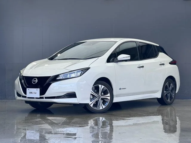 Nissan LEAF X　Vセレクション 2022