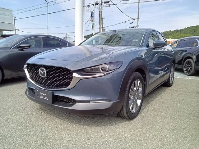 Mazda CX-30 20S　プロアクティブ　ツーリングセレク 2020