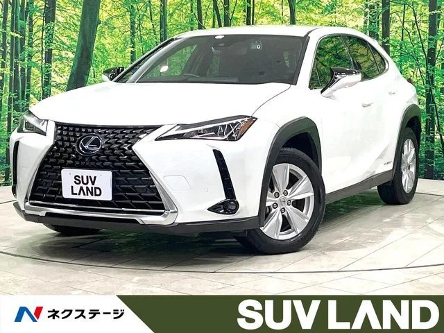 Toyota LEXUS UX250h バージョンC 2021