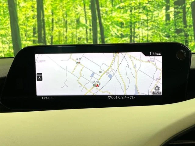 Mazda MAZDA3 FASTBACK 15S　100周年特別記念車 photo 3