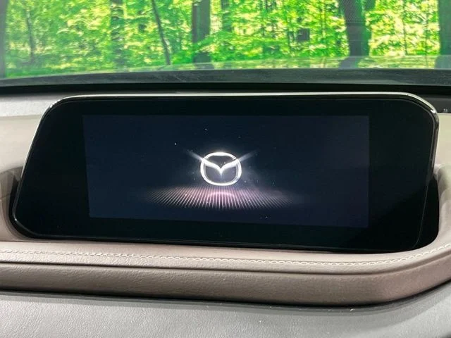 Mazda CX-30 20S　Lパッケージ photo 3
