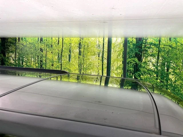Daihatsu TAFT G　ダーククロムベンチャー photo 4