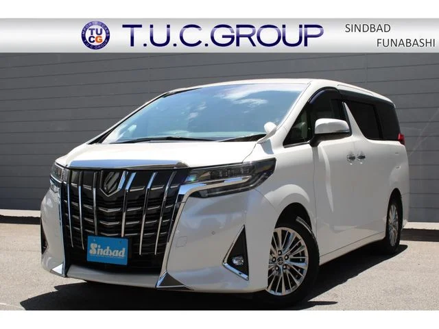 Toyota ALPHARD G　■ナビTV■後席モニター 2019