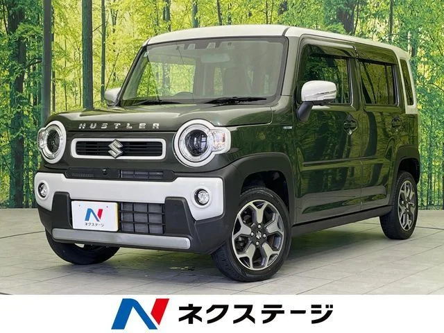 Suzuki HUSTLER ハイブリッド　X 2023