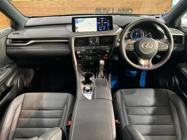 Toyota LEXUS RX300 Fスポーツ photo 2