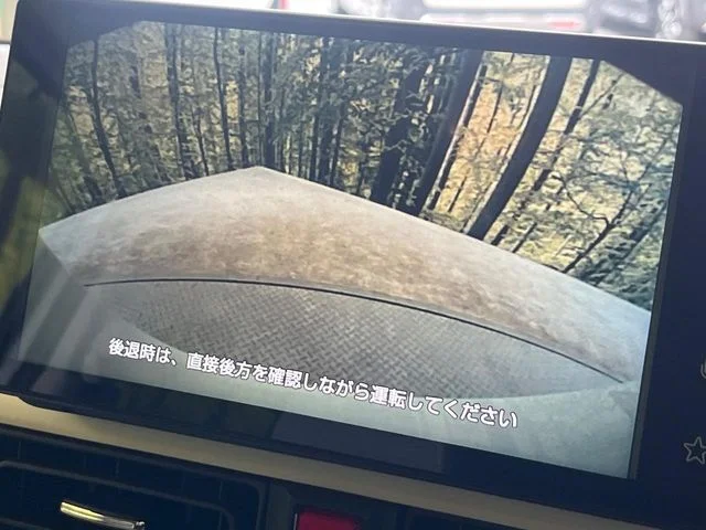 Daihatsu MOVE canbus ストライプス　G photo 3