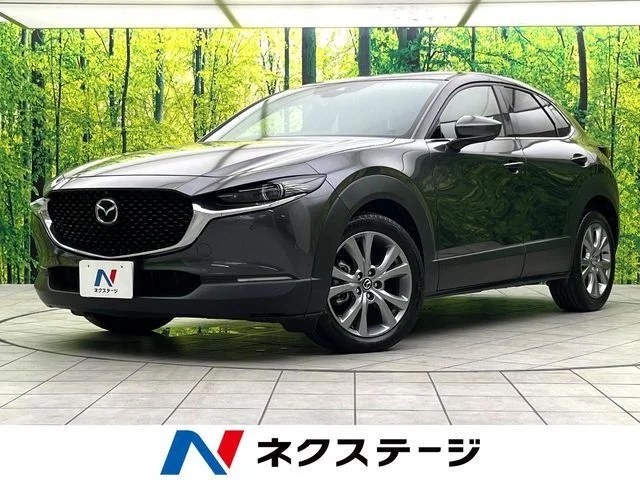 Mazda CX-30 20S　プロアクティブ　ツーリングセレク 2022