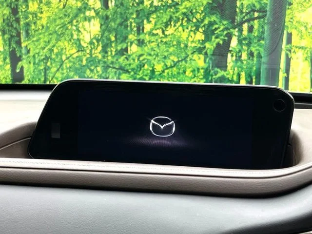 Mazda CX-30 20S　プロアクティブ　ツーリングセレク photo 3