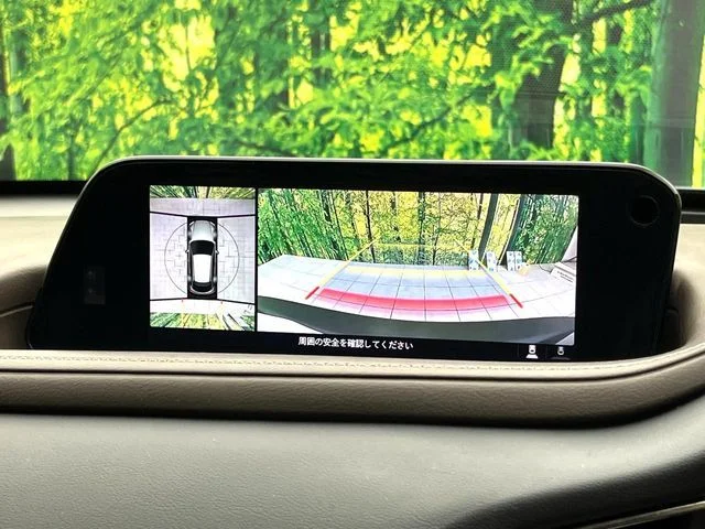 Mazda CX-30 20S　プロアクティブ　ツーリングセレク photo 4