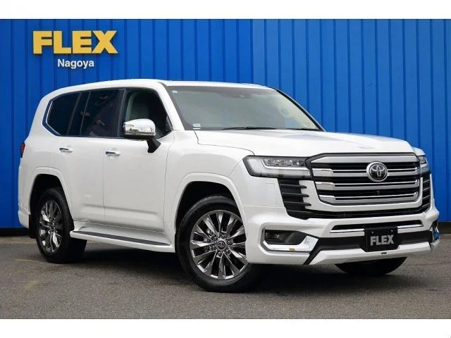 Toyota LANDCRUISER wagon ZX photo 2