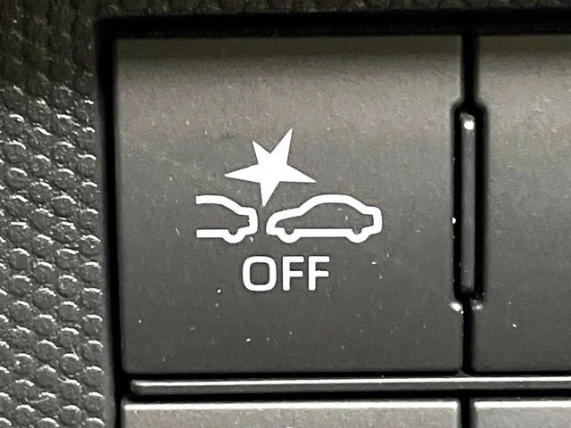 Daihatsu TAFT Gターボ　ダーククロムベンチャー photo 4