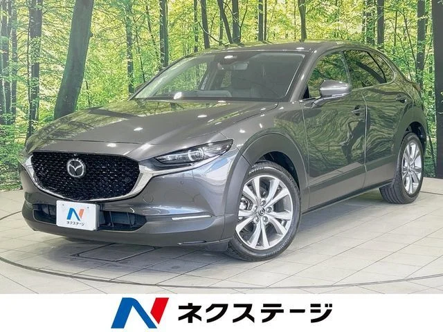 Mazda CX-30 XD　プロアクティブ 2019