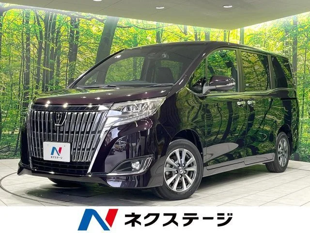 Toyota ESQUIRE Gi　プレミアムパッケージ 2019