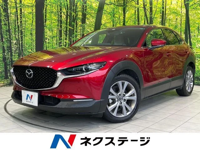 Mazda CX-30 20S　プロアクティブ　ツーリングセレク 2019
