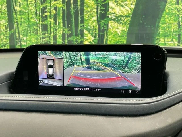 Mazda CX-30 20S　プロアクティブ　ツーリングセレク photo 4