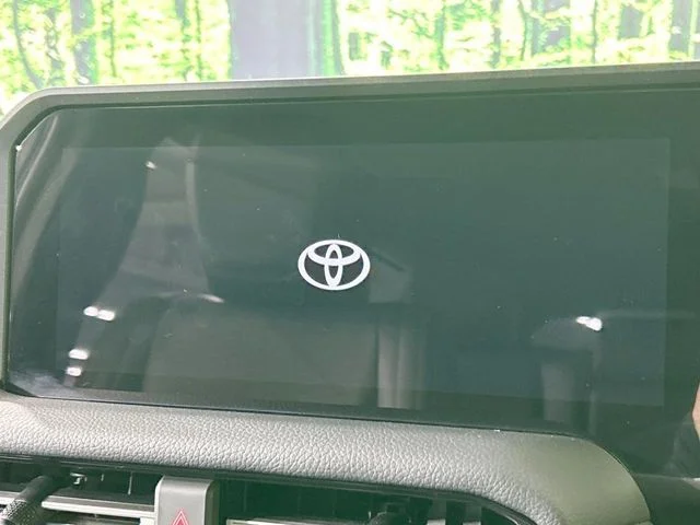 Toyota LANDCRUISER 250 VX photo 4
