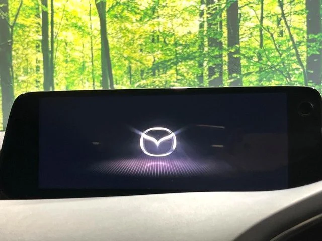 Mazda MAZDA3 FASTBACK 15S　ツーリング photo 3