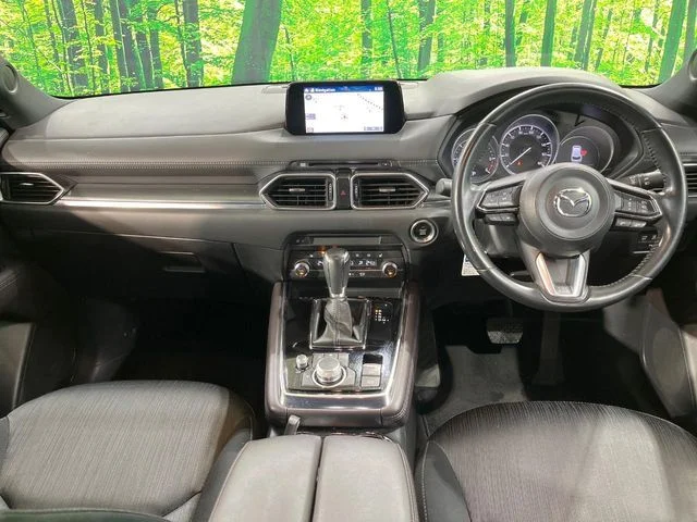 Mazda CX-8 XD　プロアクティブ photo 2