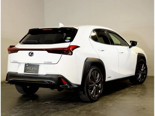 Toyota LEXUS UX250h Fスポーツ photo 3