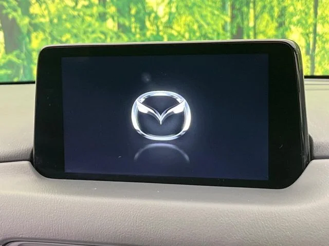 Mazda CX-8 XD　プロアクティブ photo 3