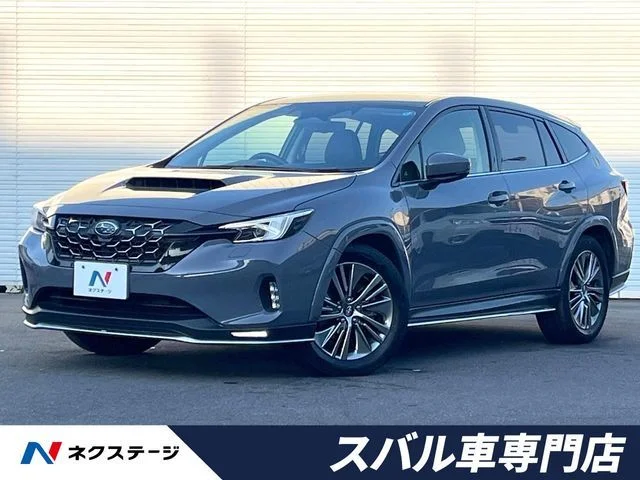 Subaru LEVORG LAYBACK リミテッド　EX 2024