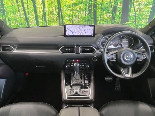 Mazda CX-8 25S　プロアクティブ photo 2