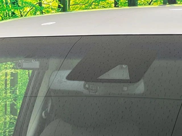 Nissan ELGRAND 250ハイウェイスターS　アーバンクロム photo 3