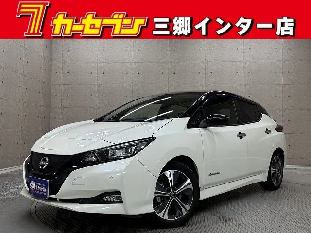 Nissan LEAF S 2022