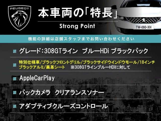 Peugeot PEUGEOT 308 GTライン　ブルーHDi　ブラックパック photo 3
