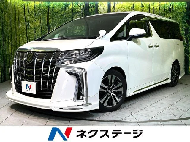Toyota ALPHARD S　Cパッケージ 2020