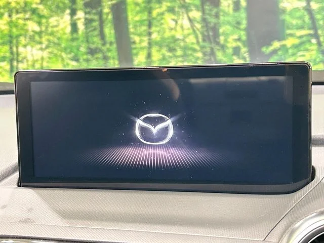 Mazda ROADSTER S　スペシャルパッケージ photo 3