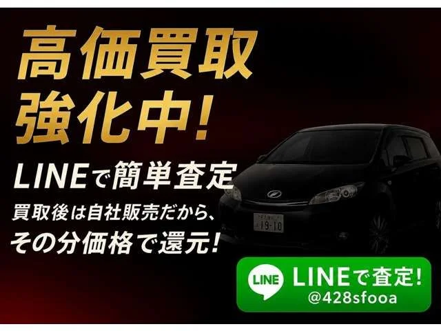 Mitsubishi DELICA D:5 4WD オールブラックスエディション photo 4