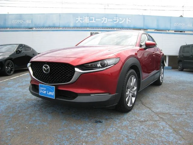 Mazda CX-30 20Sプロアクティブツーリングセレ4WD 2019