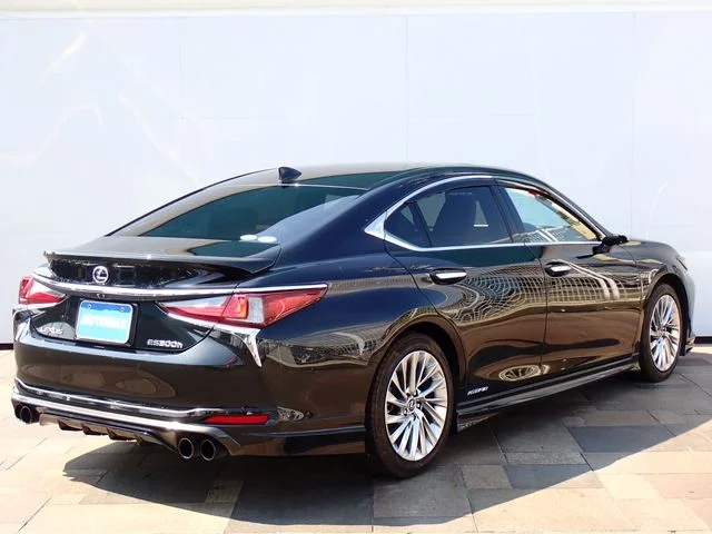 Toyota LEXUS ES300h バージョンL photo 3