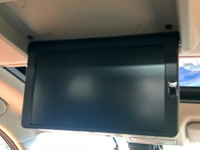 Nissan ELGRAND VIP photo 4