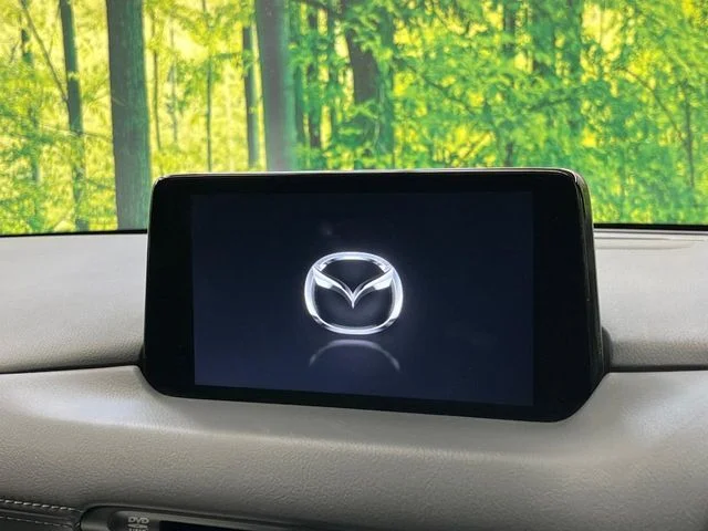 Mazda CX-8 XD　プロアクティブ　Sパッケージ photo 3