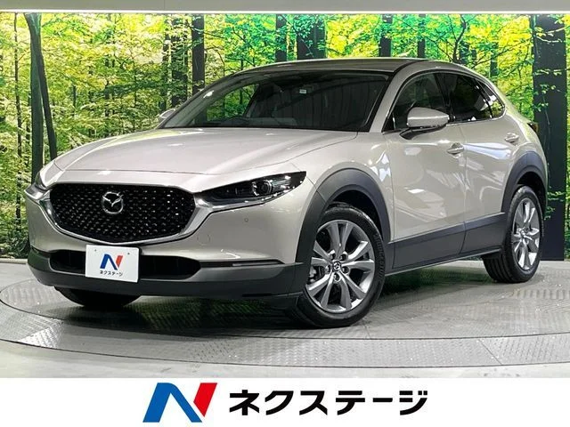 Mazda CX-30 20S　プロアクティブ 2024