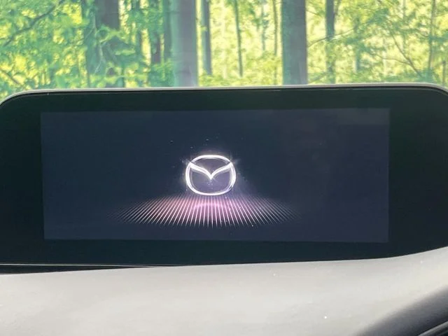 Mazda MAZDA3 FASTBACK XDプロアクティブツーリングセレクション photo 4