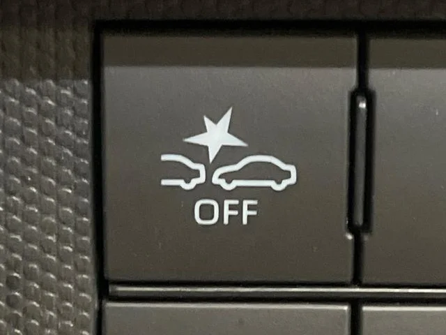 Daihatsu TAFT Gターボ photo 3
