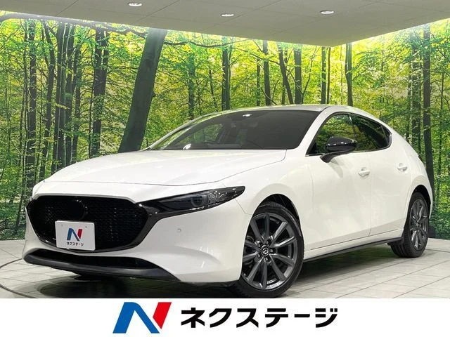 Mazda MAZDA3 FASTBACK 20S　バーガンディセレクション 2019