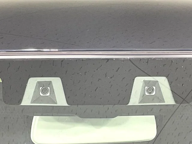 Suzuki HUSTLER タフワイルド photo 3