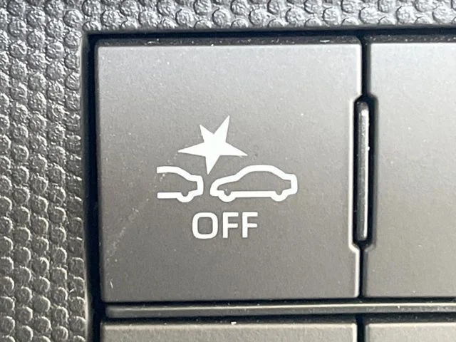 Daihatsu TAFT G　ダーククロムベンチャー photo 4