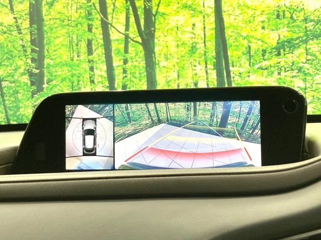 Mazda CX-30 XD　Lパッケージ photo 4