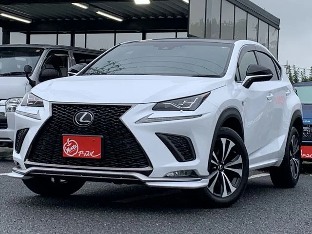 Toyota LEXUS NX300 Fスポーツ 2019