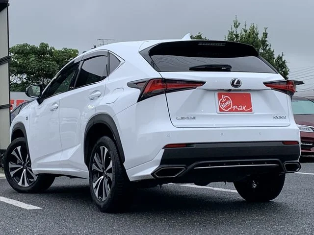 Toyota LEXUS NX300 Fスポーツ photo 3