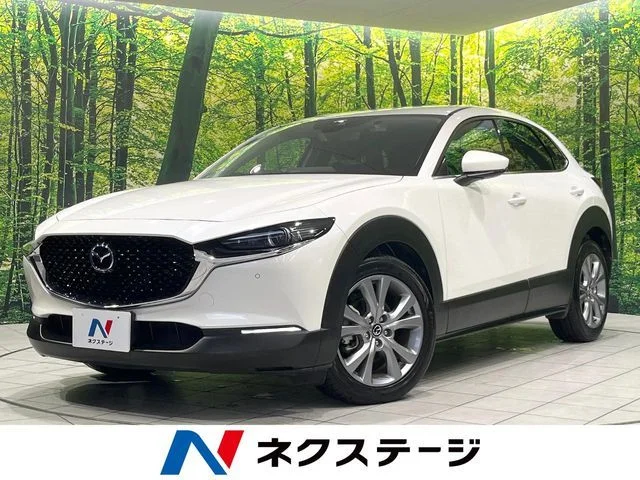 Mazda CX-30 20S　プロアクティブ　ツーリングセレク 2023