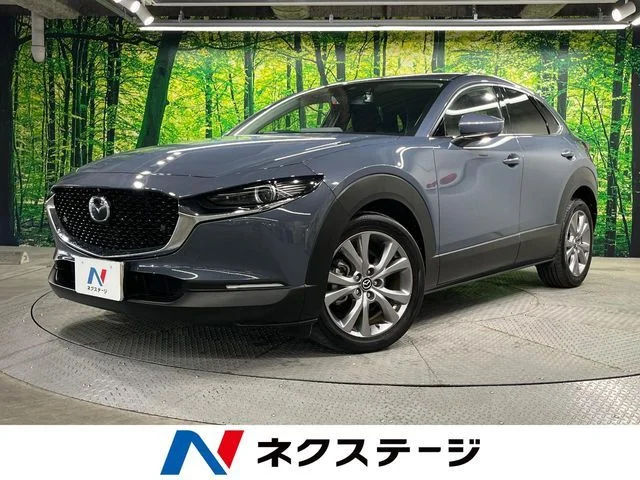 Mazda CX-30 XDプロアクティブツーリングセレクション 2019