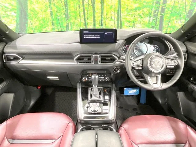 Mazda CX-8 25S　スポーツ　アピアランス photo 2
