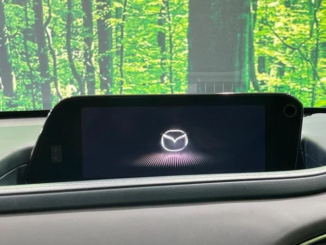 Mazda CX-30 XDプロアクティブツーリングセレクション photo 4