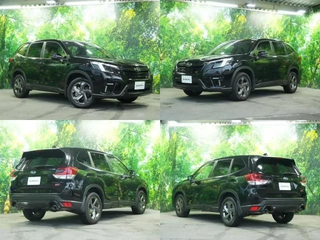 Subaru FORESTER STI　スポーツ photo 2